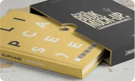 Printed or colored endpapers